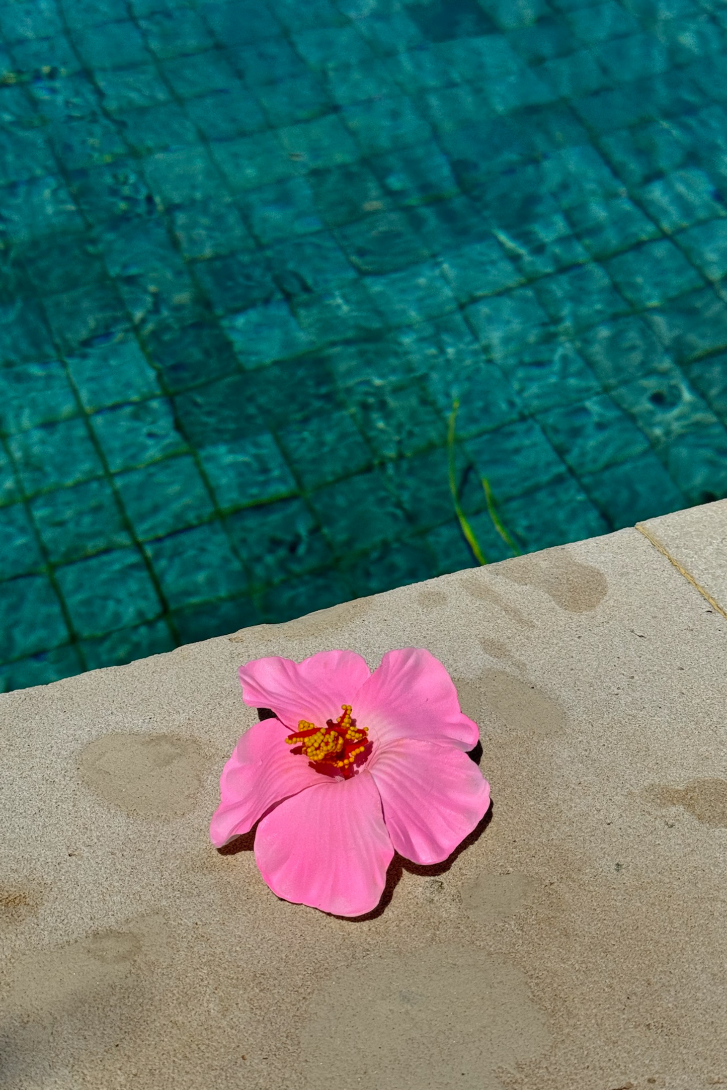 PINK FLOWER HAIR CLIP